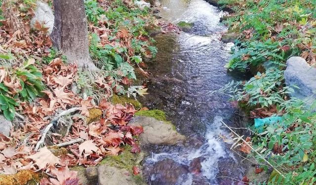 Nacar Yaylası’nda Hazan Mevsimi Göz Kamaştırıyor