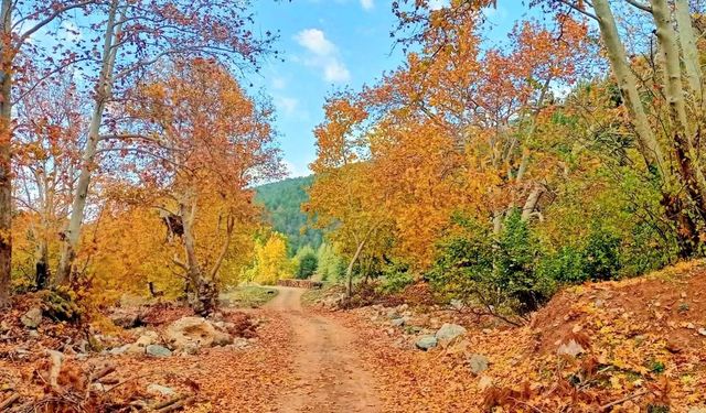Osmaniye Amanos Dağları Gürdük’te Sonbahar Renkleri