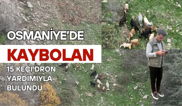 Osmaniye'de Drone ile Kayıp Keçiler Bulundu
