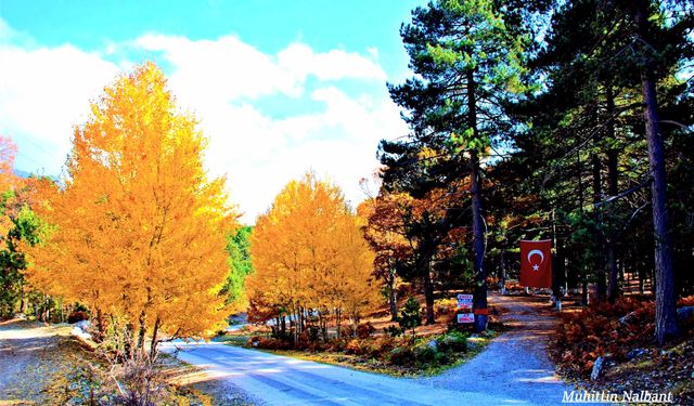 Osmaniye Küllü Köyü sonbaharda renk cümbüşü yaşadı