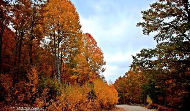 Osmaniye Küllü Köyü ve Hinzırlı Yaylası Doğası Keşfediliyor