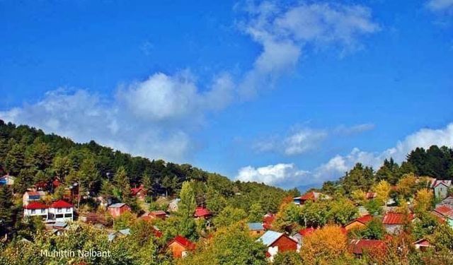 Osmaniye Yaylalarında Kartpostallık Anlar