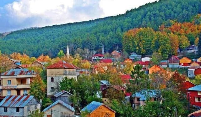 Orman Alanlarında İnfaz Süreci Başladı