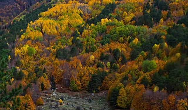 Osmaniye’de Amanoslar Sonbaharda Kartpostallık Oldu