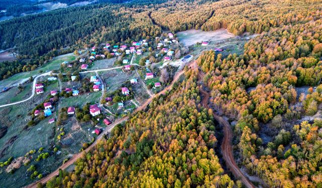 Osmaniye’de Sonbahar Dişbudak Yaylası Büyüleyici Görünüyor