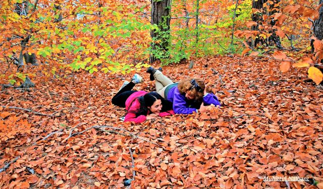 Osmaniye’de Zorkun Yaylası Keldaz Güzellikleriyle Büyülüyor