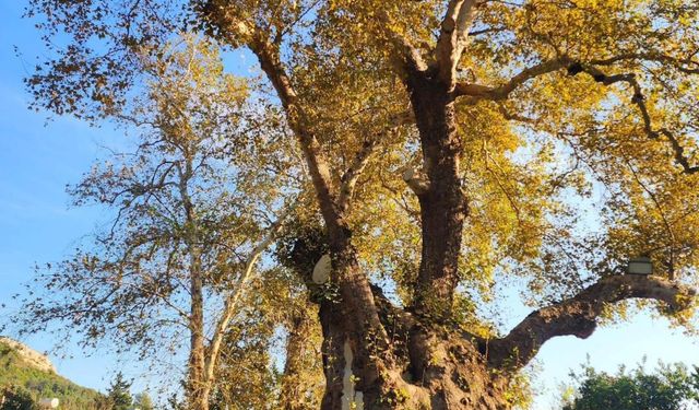 Samandağ Hıdırbey Köyü’nden Doğa ve Tarih Manzaraları