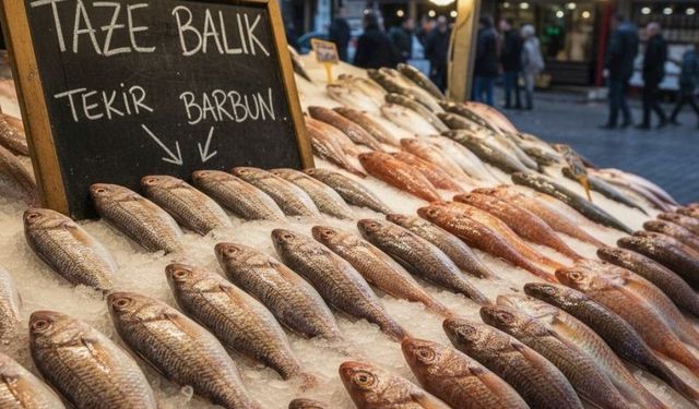 Tekir ile Barbun Arasındaki Farklar ve Pişirme Sırları