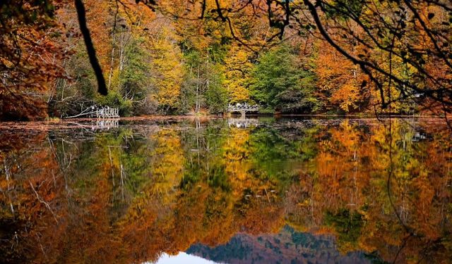 Yedigöller Sonbaharda Renk Cümbüşüyle Büyülüyor