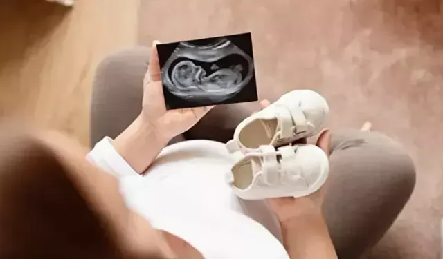 Çalışan Anneye Destek Paketi: Kreş, Emeklilik, Yeni Haklar