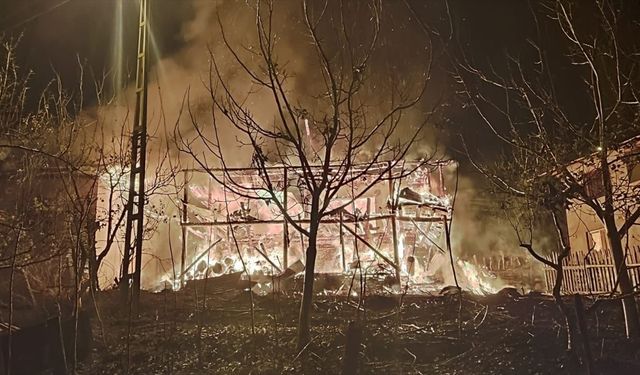 Adana'da evde çıkan ve okul lojmanına sıçrayan yangın söndürüldü