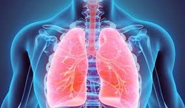 3 Gün Süren Ateş ve Nefes Darlığına Dikkat: Zatürre Belirtisi Olabilir