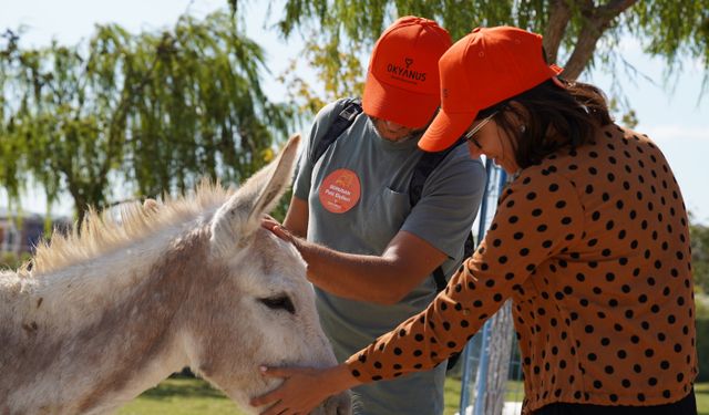 Borusan Grubu Okyanus Kampüsü projesini başlatacak