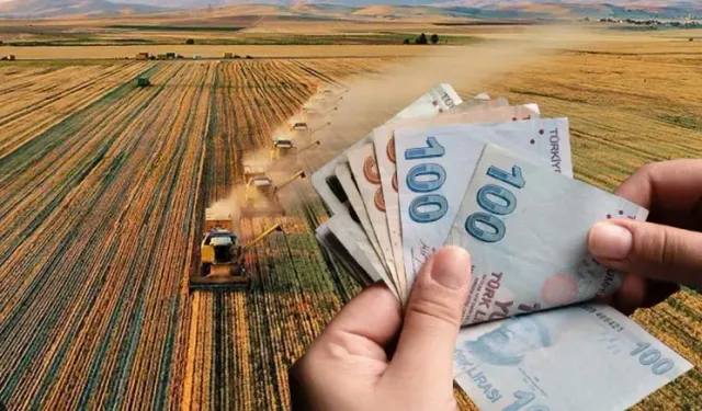 Osmaniyeli Çiftçiler Destek Bekliyor