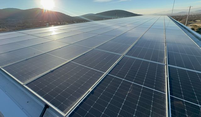 Devlet desteğiyle kurduğu tesiste hem elektrik hem de mantar üretiyor