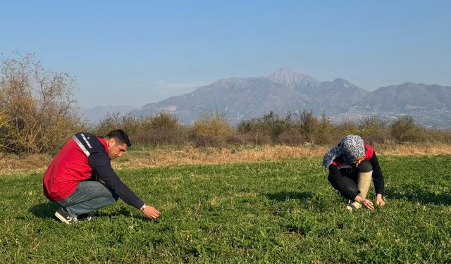Düziçi’nde Ekim Kontrolleri Sürüyor