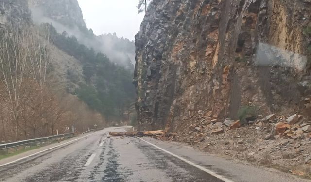 Feke-Saimbeyli Yolunda Yağış Nedeniyle Ağaç Devrildi