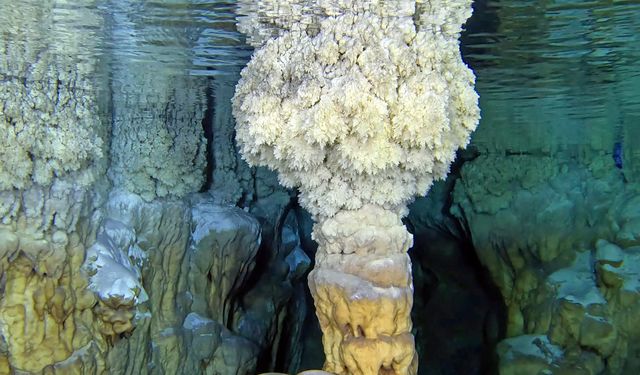 Gilindire Mağarası'ndaki gölün barındırdığı zenginlikler su altı kamerasında