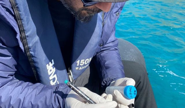 GRAFİKLİ - En çok mikroplastik Bozburun'da tespit edildi