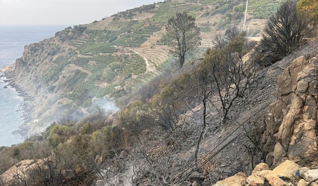 GÜNCELLEME - Antalya'da muz bahçelerinde çıkan yangın söndürüldü