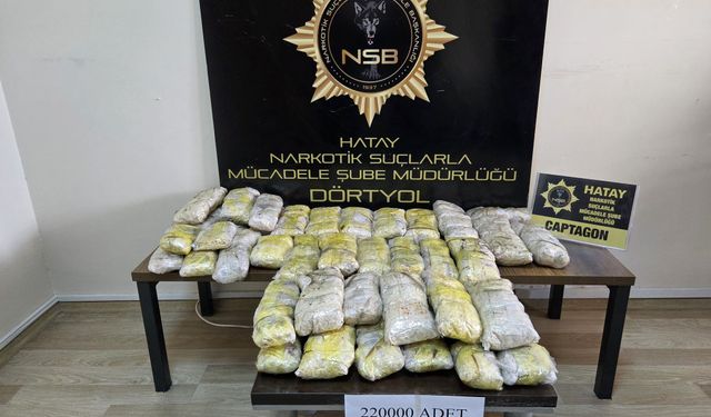 Hatay'da tır dorsesinde 220 bin adet uyuşturucu hap ele geçirildi