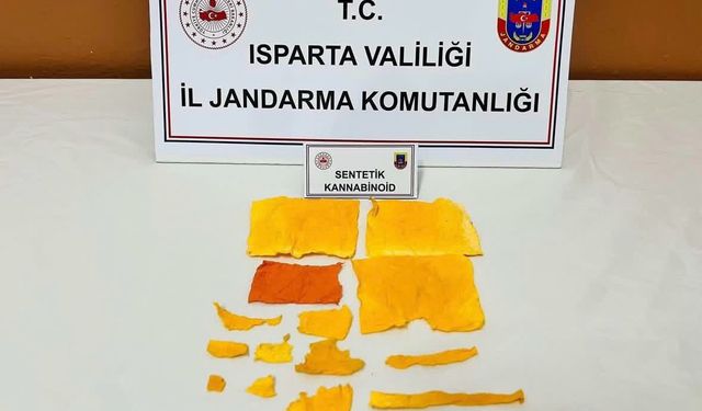 Isparta'da uyuşturucu operasyonunda yakalanan zanlı tutuklandı