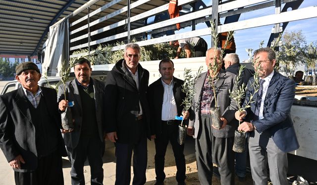 Kadirli’de 10 Bin Zeytin Fidanı Desteği