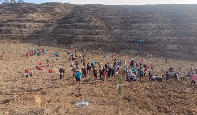 Kozan'da öğrenciler yanan ormanlık alana fidan dikti