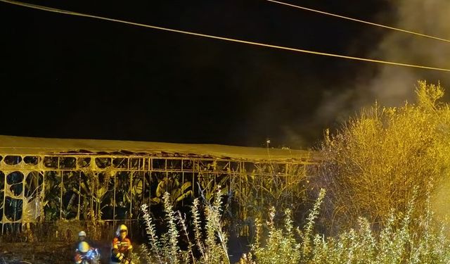 Mersin'de çalılık alanda çıkıp seraya sıçrayan yangın söndürüldü