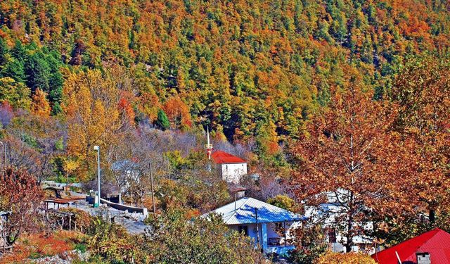 Osmaniye Küllü Köyü’nde Sonbahar Renkleri Büyülüyor