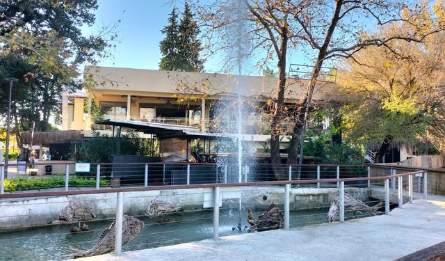 'Özellikli İşletme Ödülü' alan Antalya'daki tesis, yöresel ürünlere de ağırlık veriyor