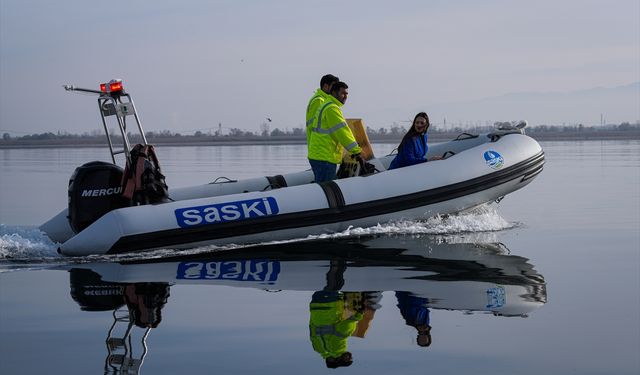 SAPANCA GÖLÜ ALARM VERİYOR - AA ekibi suların çekilmesini gölün farklı bölgelerinde görüntüledi