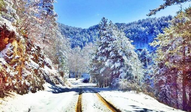 Osmaniye Amanos Dağları’nda Çataloluk’tan Yaylaya Gezi