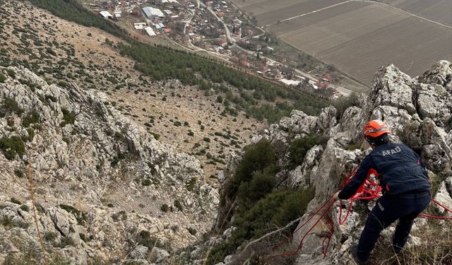Burdur'da dağda mahsur kalan keçiyi AFAD kurtardı