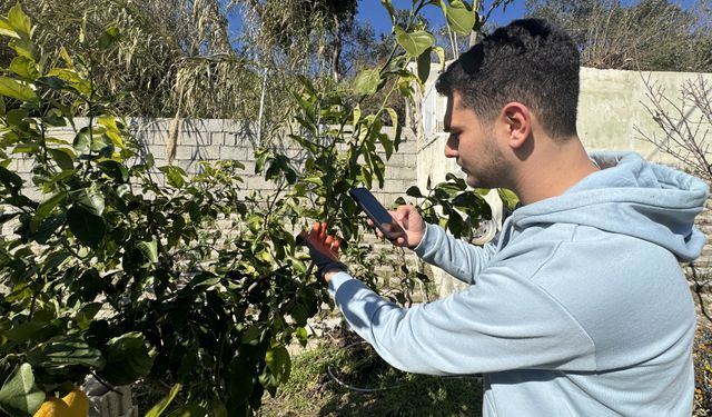 Depremzede öğrenciden yapay zeka destekli bitki bakımı uygulaması