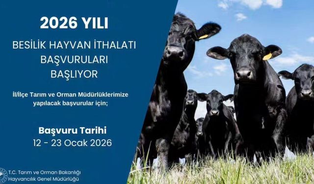 Düziçi’nde 2026 Besilik Hayvan İthalatı Başvuruları Başlıyor