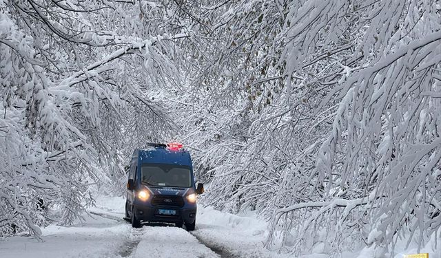 Jandarma Zorlu Kışta Görev Başında