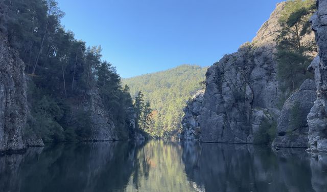 Koruma altındaki sığla ormanının güzellikleri tekne turuyla keşfediliyor