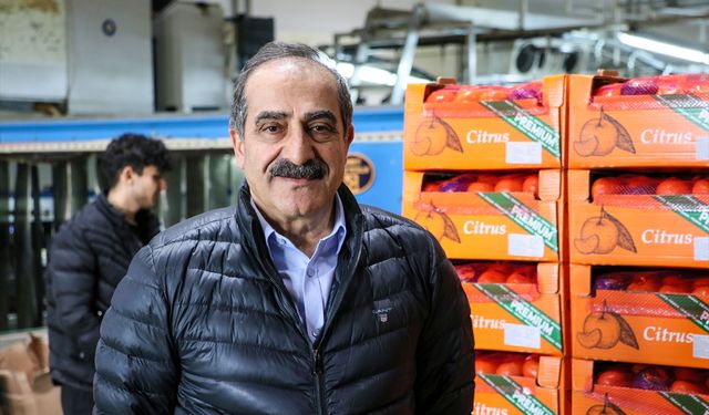 Narenciye ihracatı 2025'te Türkiye'ye 1 milyar 477 milyon 58 bin dolar kazandırdı