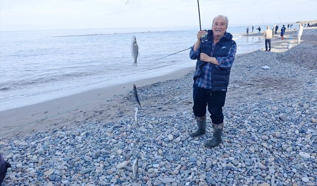 Samsun'da kafesten kaçan balıklar amatör balıkçıların yüzünü güldürdü