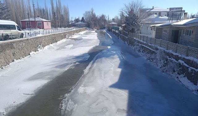 Sivas'ta soğuk hava etkili oluyor