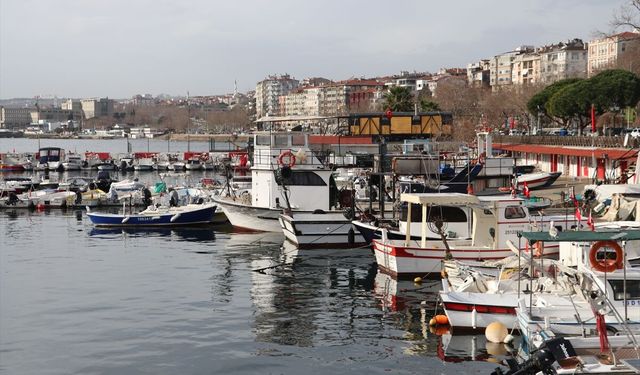 Tekirdağlı balıkçılar torik için denize açılıyor