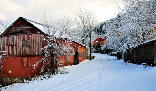 Zorkun Yaylası Yörükler Mahallesi Mevsimlerle Değişiyor