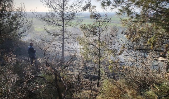 Arsuz ilçesinde çıkan orman yangını söndürüldü