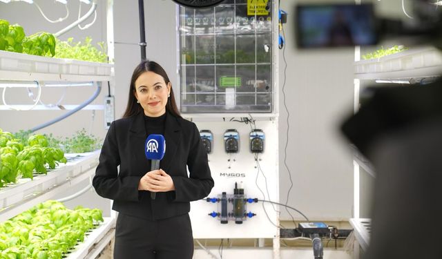 FAO Uluslararası Bilimde Kadınlar ve Kız Çocukları Günü için özel içerik hazırladı