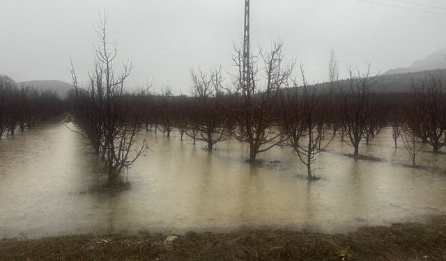 Isparta'da sağanak etkili oluyor