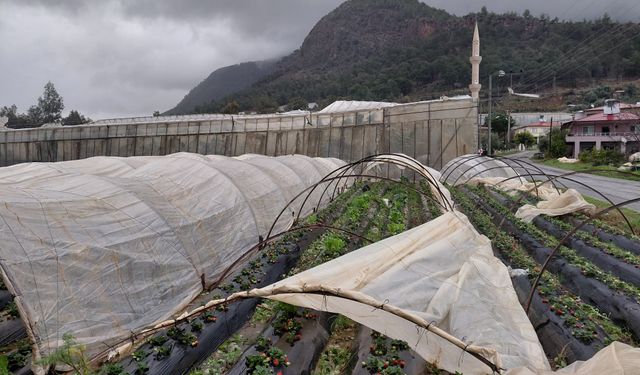 Mersin'de sağanak ve şiddetli rüzgar etkili oldu