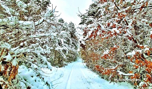 Osmaniye Zorkun Yaylası’nda Keldaz Yolu Hayran Bırakıyor