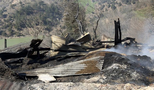 Adana'da ev ve ahırda çıkan yangında 1 kişi yaralandı, 23 hayvan telef oldu