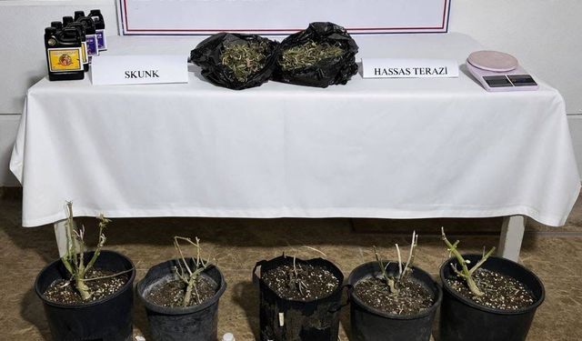 Aksu'da uyuşturucu operasyonunda 1 şüpheli yakalandı